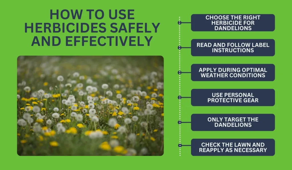 How to Use Herbicides Safely and Effectively