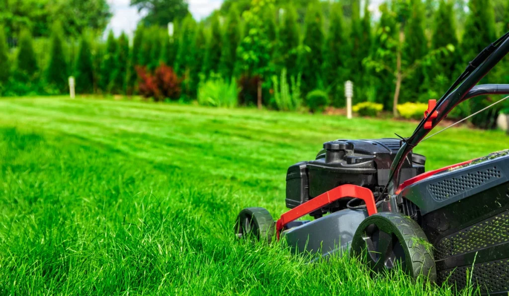 mowing lawn