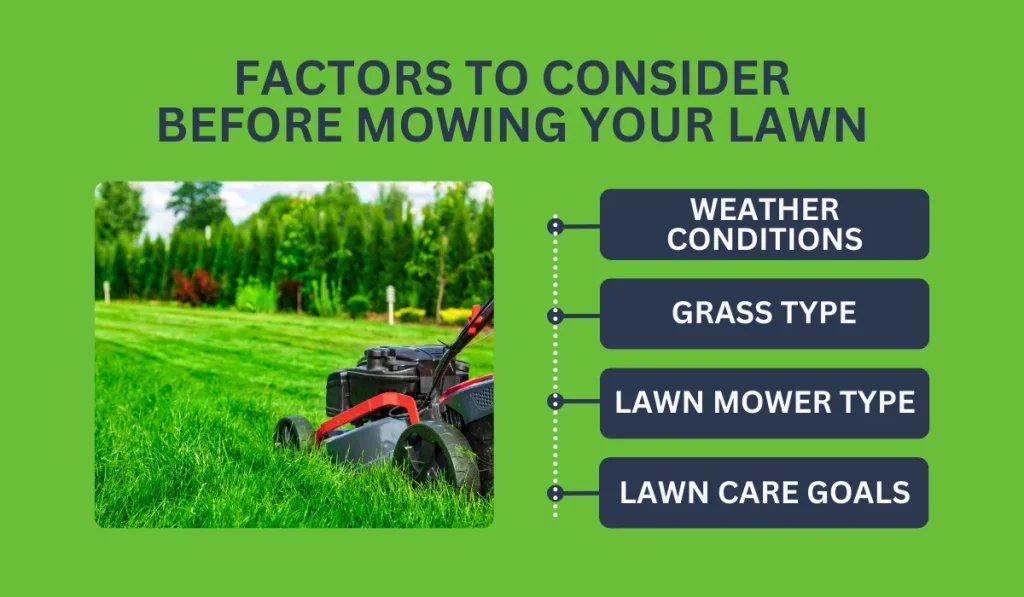 Factors to Consider Before Mowing Your Lawn