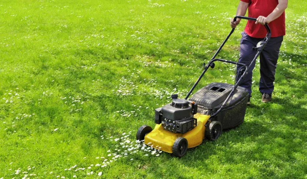 mowing the lawn