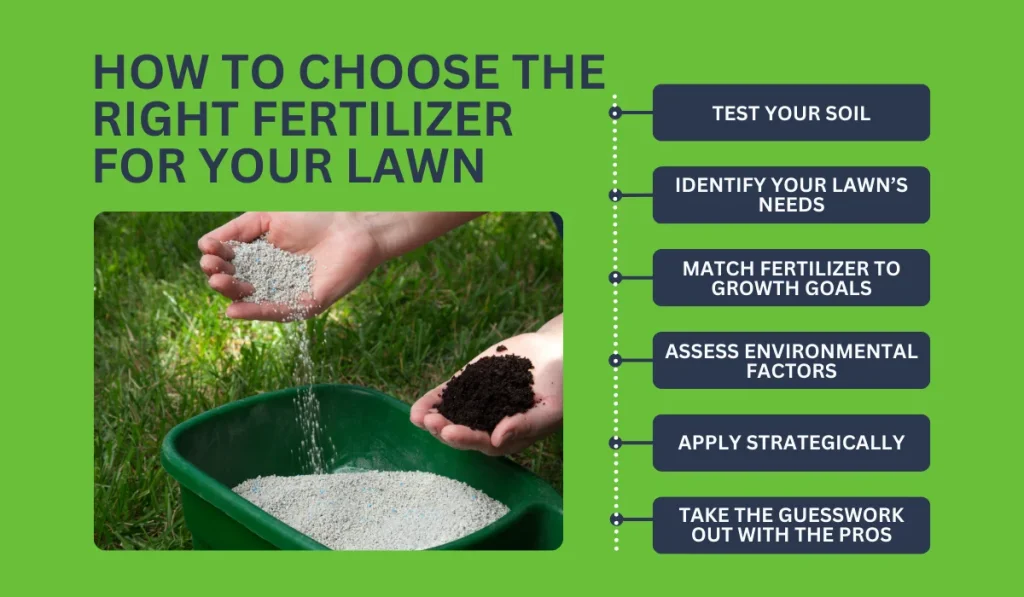 Choose the Right Fertilizer for Your Lawn