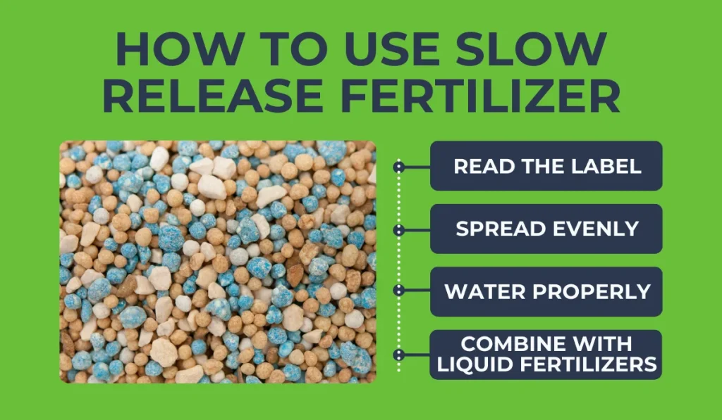 How to Use Slow Release Fertilizer