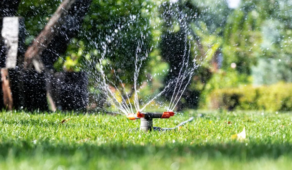 Sprinklers on a Lawn