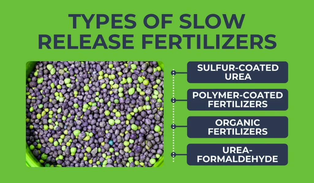 Types of Slow Release Fertilizers