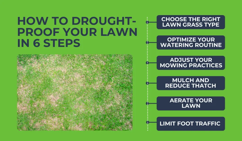 how to drought-proof your lawn