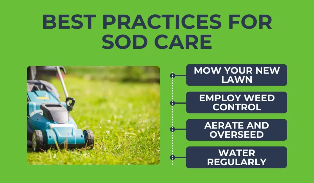 Best Practices for Sod Care