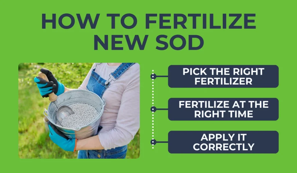 How to Fertilize New Sod