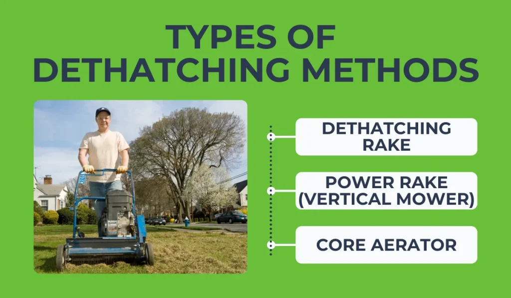 Types of Dethatching Methods