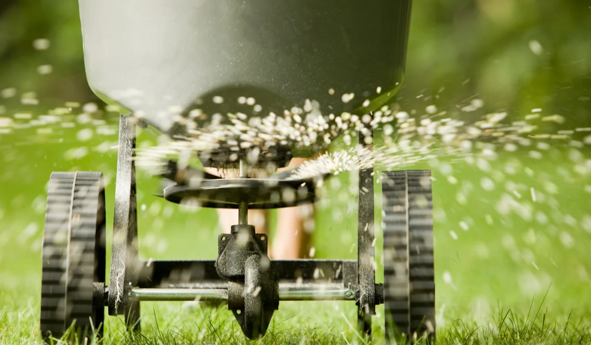 fertilizing lawn