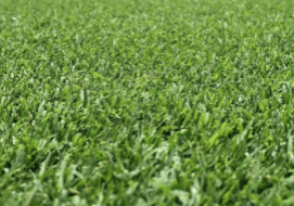 Latitude 36
