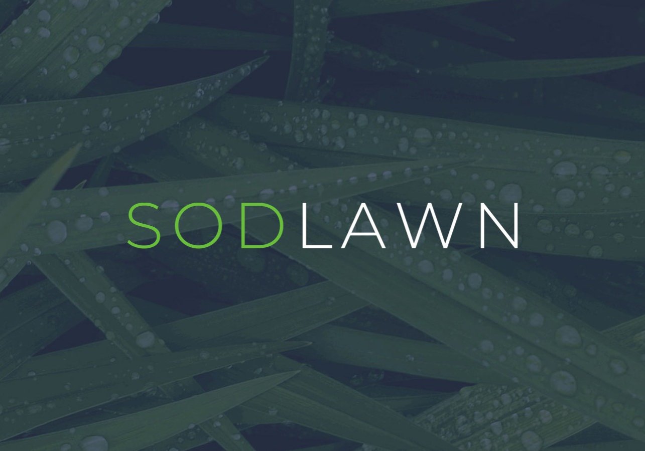 SodLawn Sod